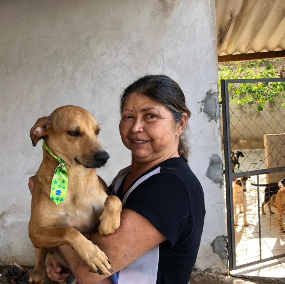 Feira de adoção nesse sábado (13) tembém vai ajudar a cuidadora Maria Helena Ferreira que não tem mais condições de cuidar dos cães e gatos (Foto: PMM/divulgação)