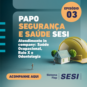 SESI 3 - 10/11 A 17/11