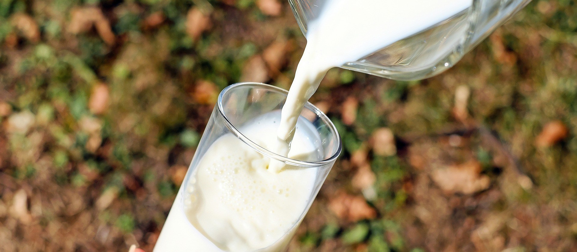 Pandemia tem capacidade de promover uma revolução silenciosa nas fazendas de leite