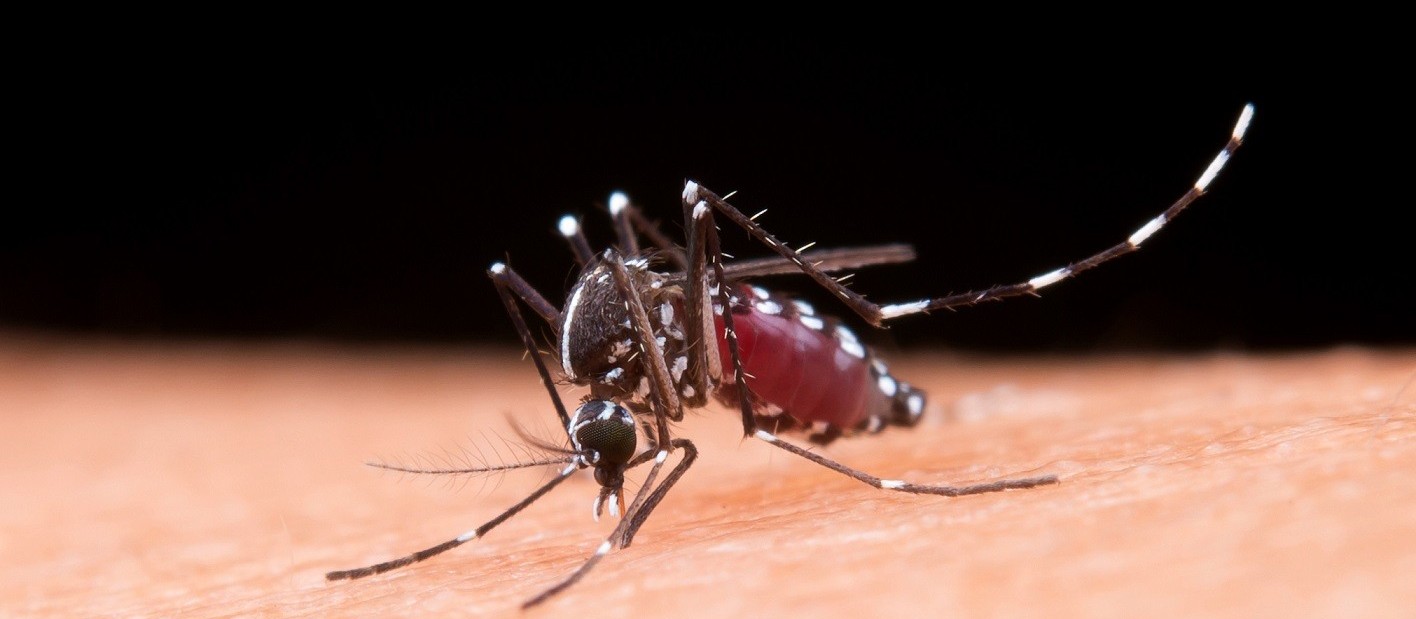 Cascavel confirma quinta morte por dengue