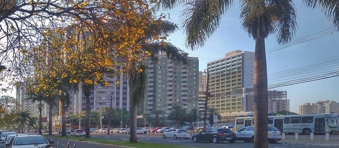 Com mínima de 11ºC, quinta-feira amanhece gelada em Maringá