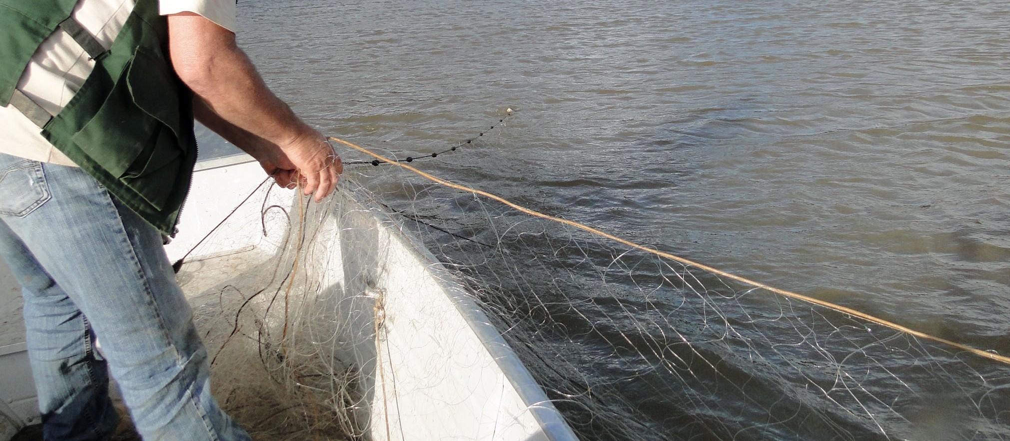 Pesca no Rio Paraná será liberada nessa quinta-feira (1º)