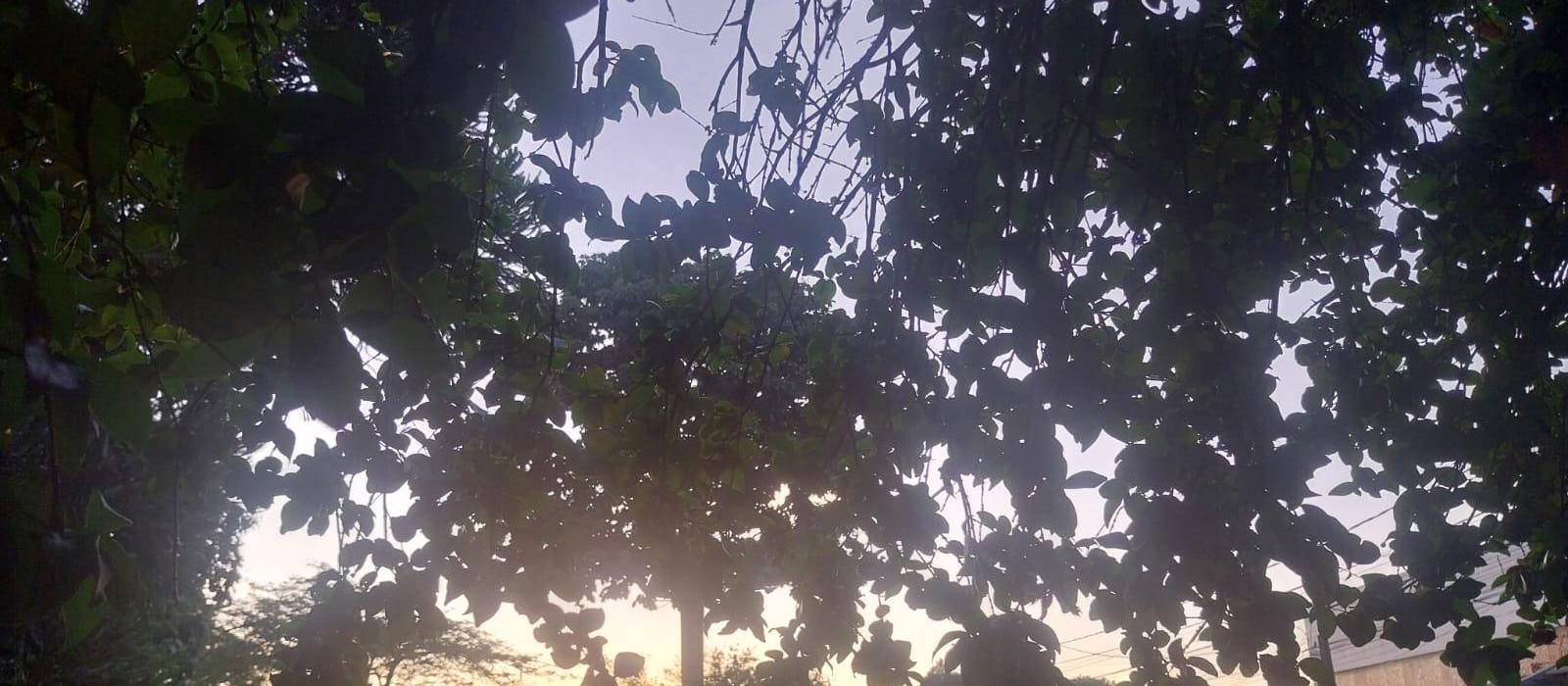 Confira a previsão do tempo para esta terça-feira de carnaval