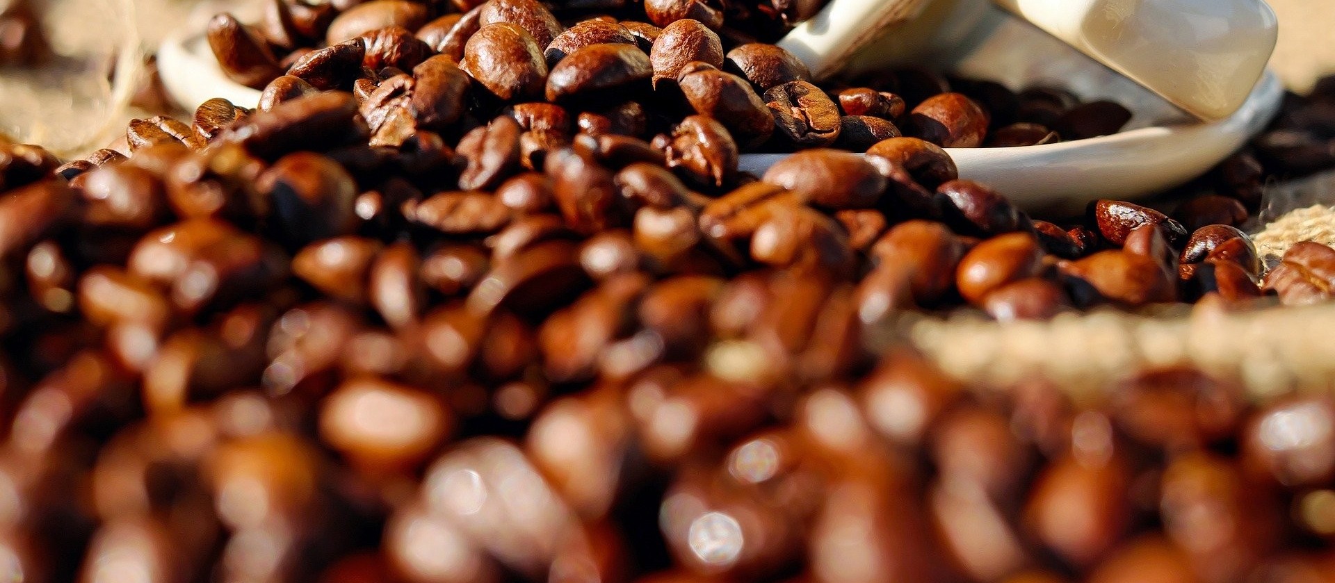 Produção de café do Brasil ocupa área de 1,8 milhão de hectares
