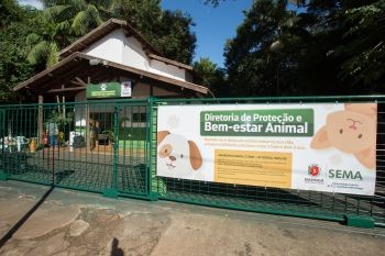 Duas multas por maus-tratos a animais já foram aplicadas em Maringá