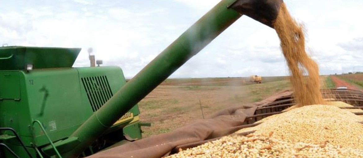 Safra de grãos é estimada em 268 mi de toneladas