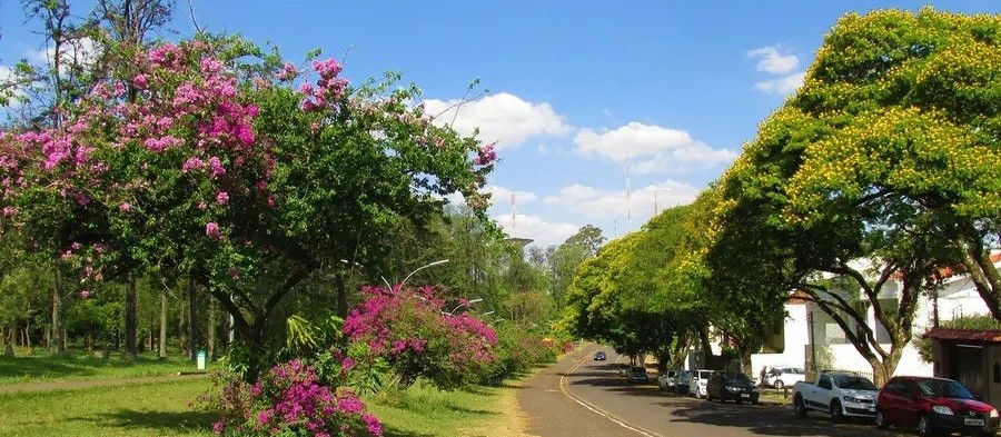 Sexta-feira será de temperaturas mais elevadas e tempo estável em Maringá