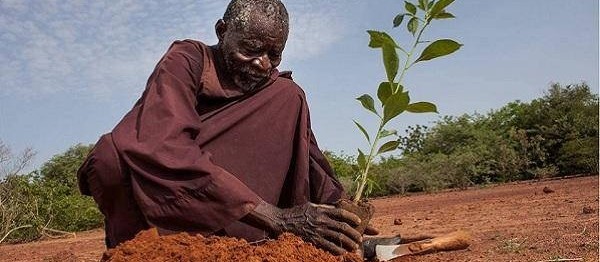 Agricultor ganha 'Nobel alternativo' por plantar árvores em deserto