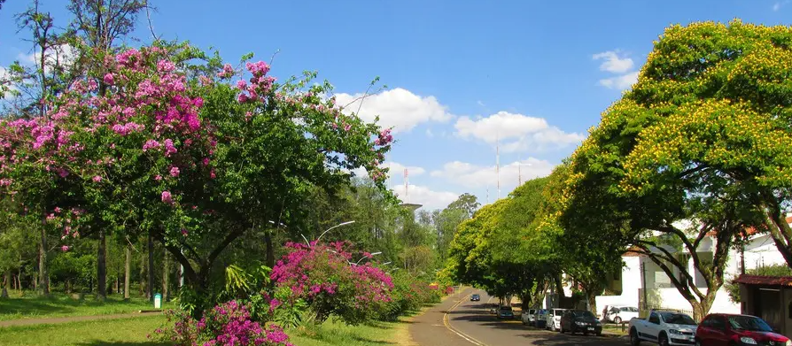 Veja como fica o tempo no Paraná e em Maringá neste domingo