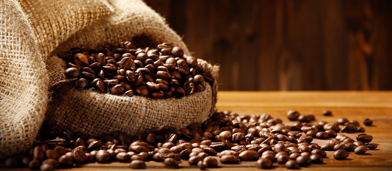 Saca de 60 Kg do café beneficiado custa R$ 450 em Maringá