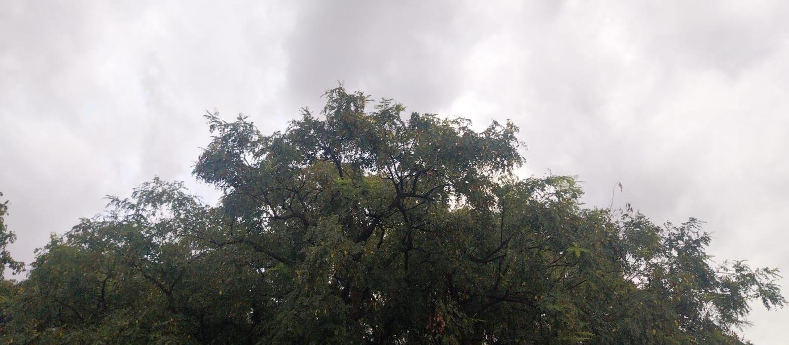 Domingo (13) de céu parcialmente nublado e com previsão de chuva