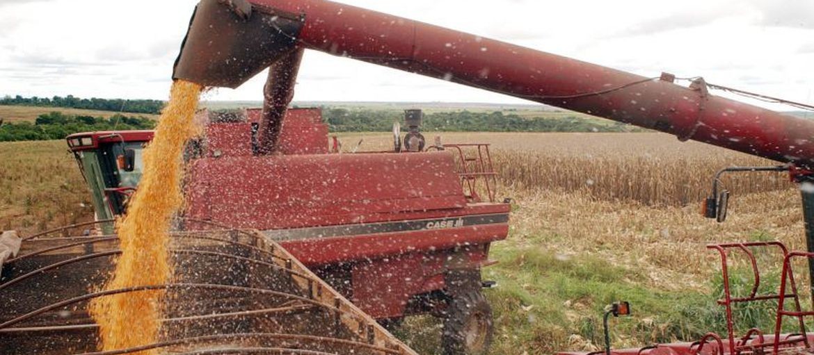 Apesar das chuvas, colheita de soja deve atingir 132,5 mi de toneladas