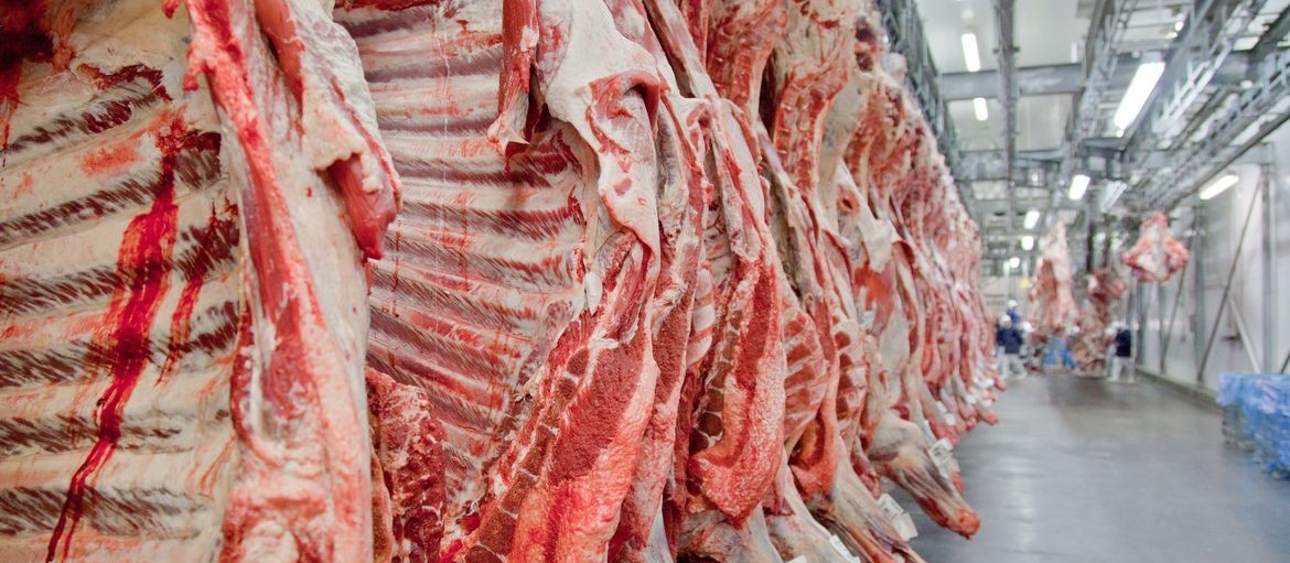 Em 2020 a oferta de carnes por habitante será mantida no Brasil