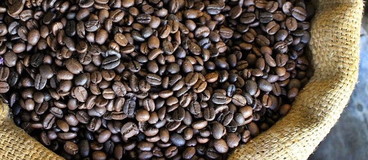 Café em coco custa R$ 5,65 kg 