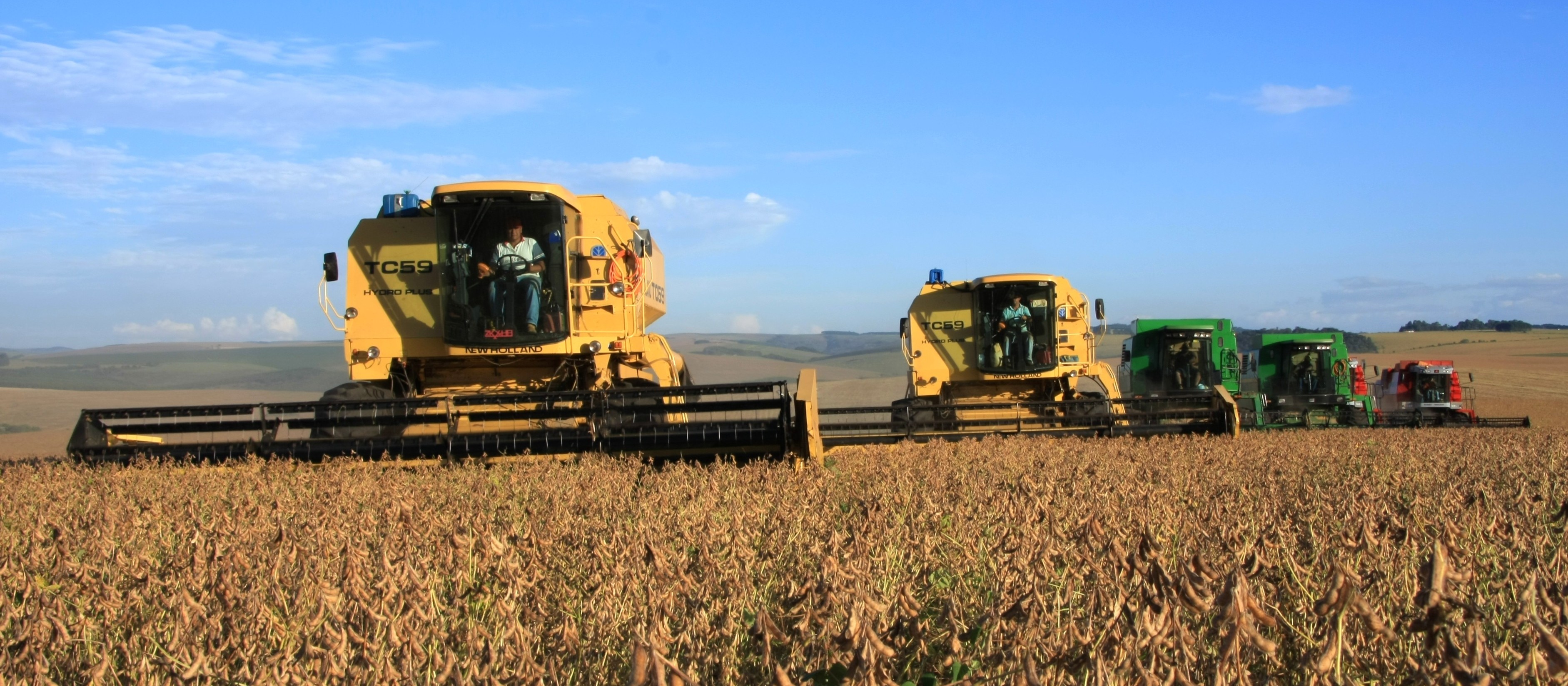 Chuvas escassas afetam a produtividade da soja