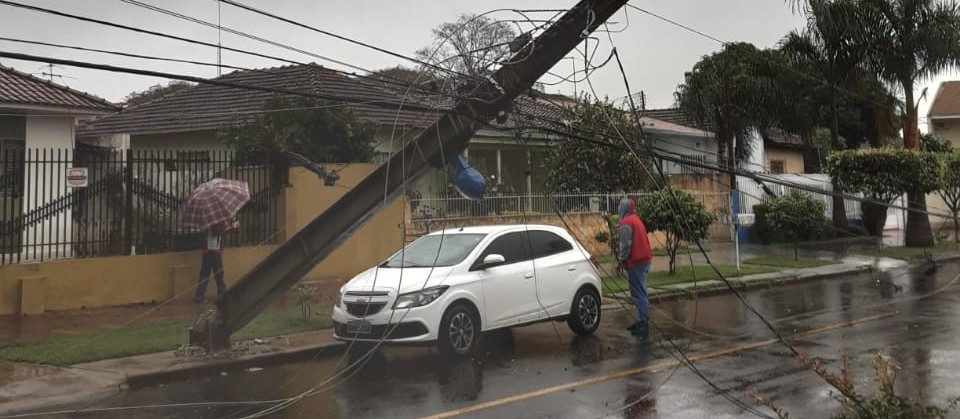 Chuva provoca queda de árvores e postes de energia