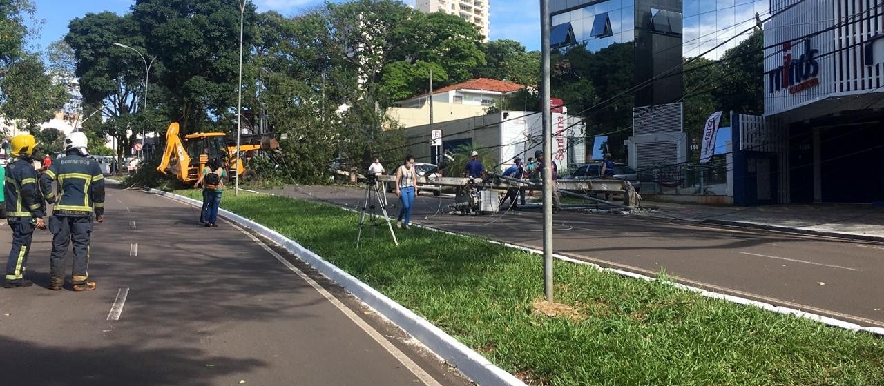 Árvore cai, derruba poste de alta tensão e motoristas ficam presos dentro de veículos, em Maringá