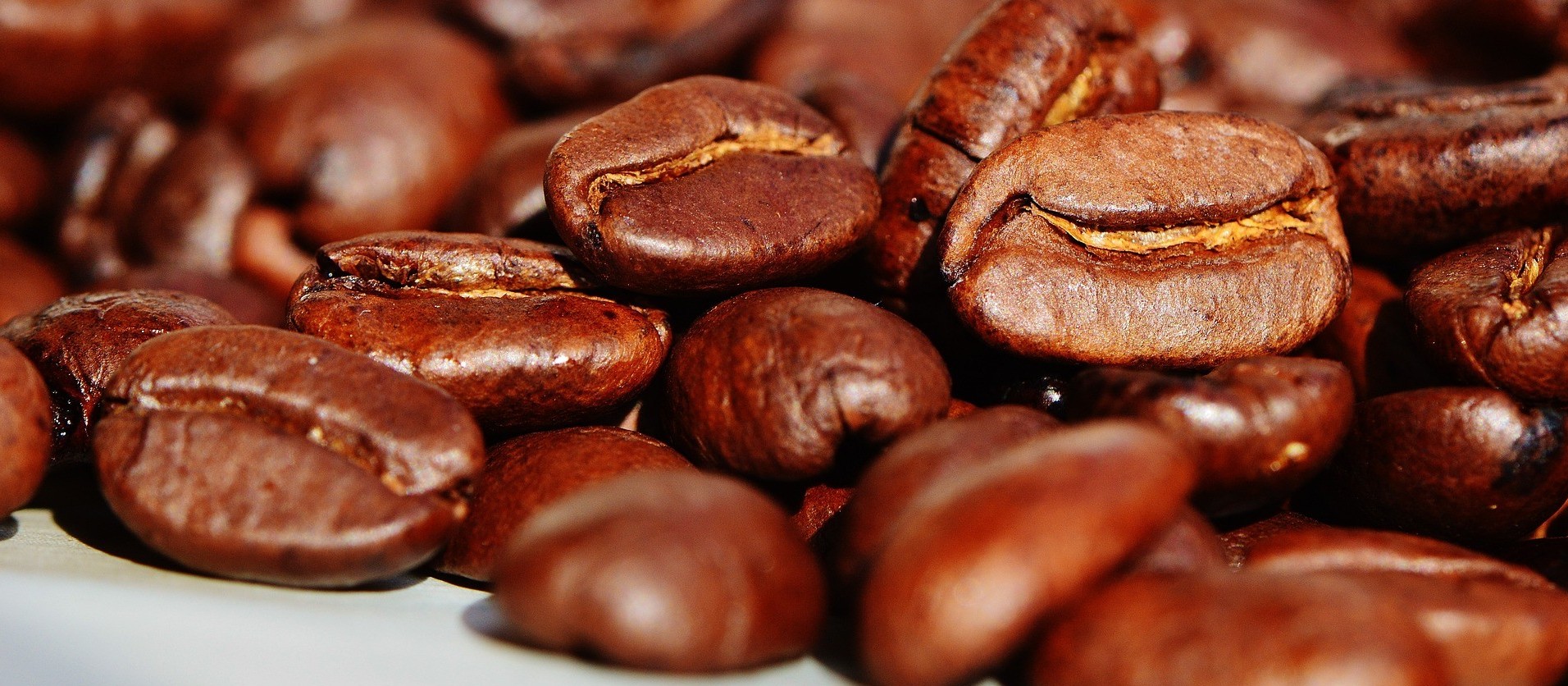 IBGE reduz estimativa de safra de café do Brasil em 2020