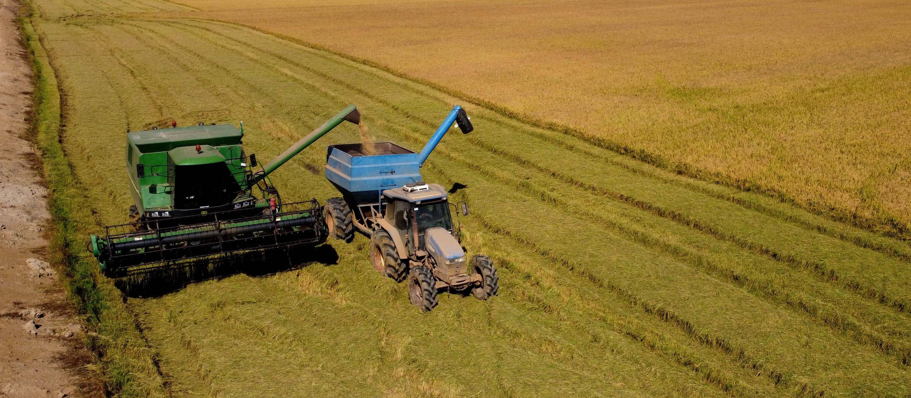 Produtores rurais estão cada vez mais conscientes sobre a preservação de suas fazendas