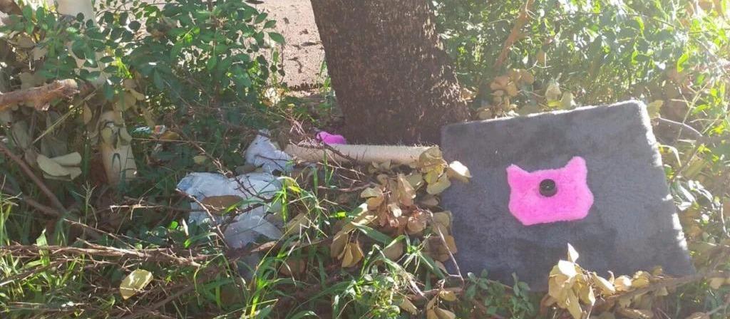 Casa abandonada gera indignação em moradores do Residencial Cidade Nova, em Maringá