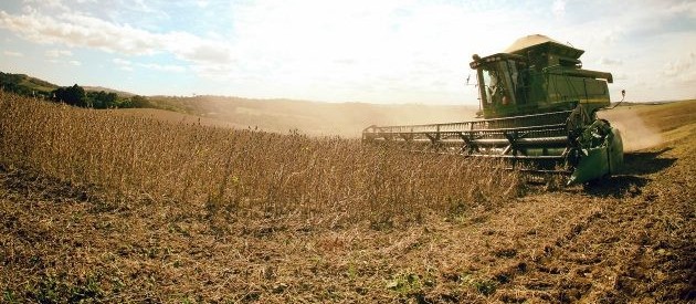 Ministério da Agricultura divulga Plano Agrícola e Pecuário 2019/20
