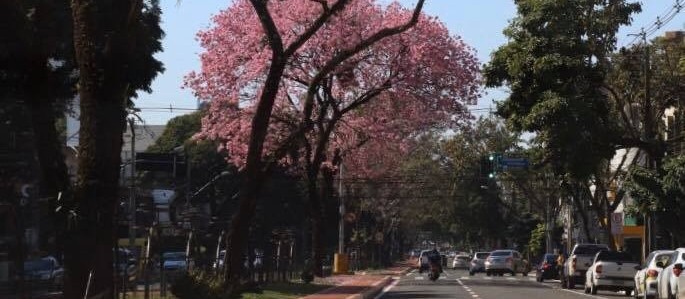 Confira a previsão do tempo para este domingo (27)