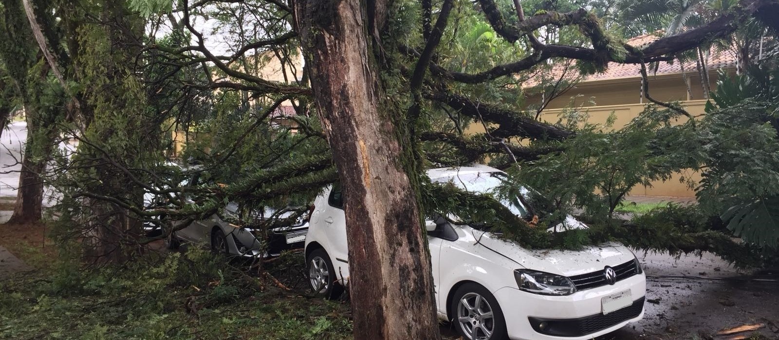Chuva derruba árvore sobre veículo e casa na Zona 5 