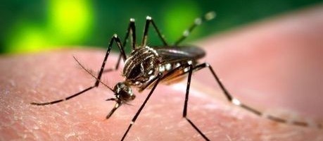 Maringá confirma a segunda morte por dengue