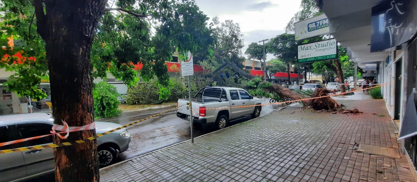 Ao menos 29 árvores caíram em Maringá durante o temporal desta terça-feira (22)