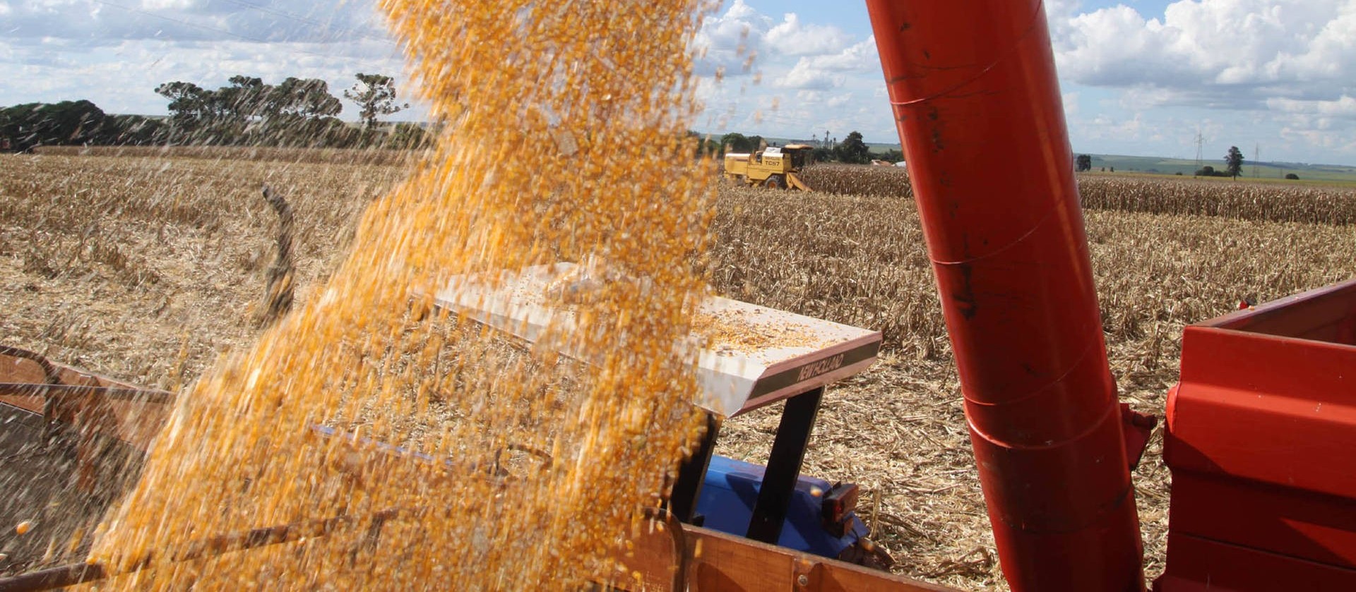 Safra de soja 2019/20 do Brasil é estimada em 122,6 milhões de toneladas 
