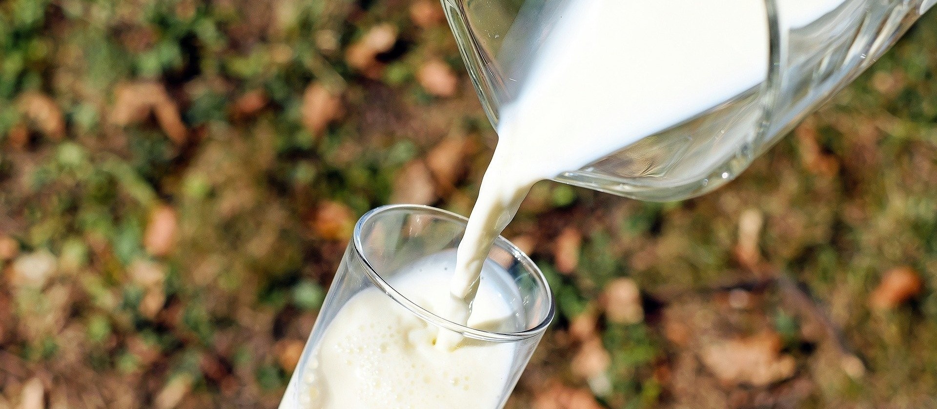 Preço pago a produtor de leite interrompe alta desde junho e pode cair até 7%