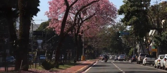 Máxima chega a 27ºC nesta quarta-feira (28) em Maringá