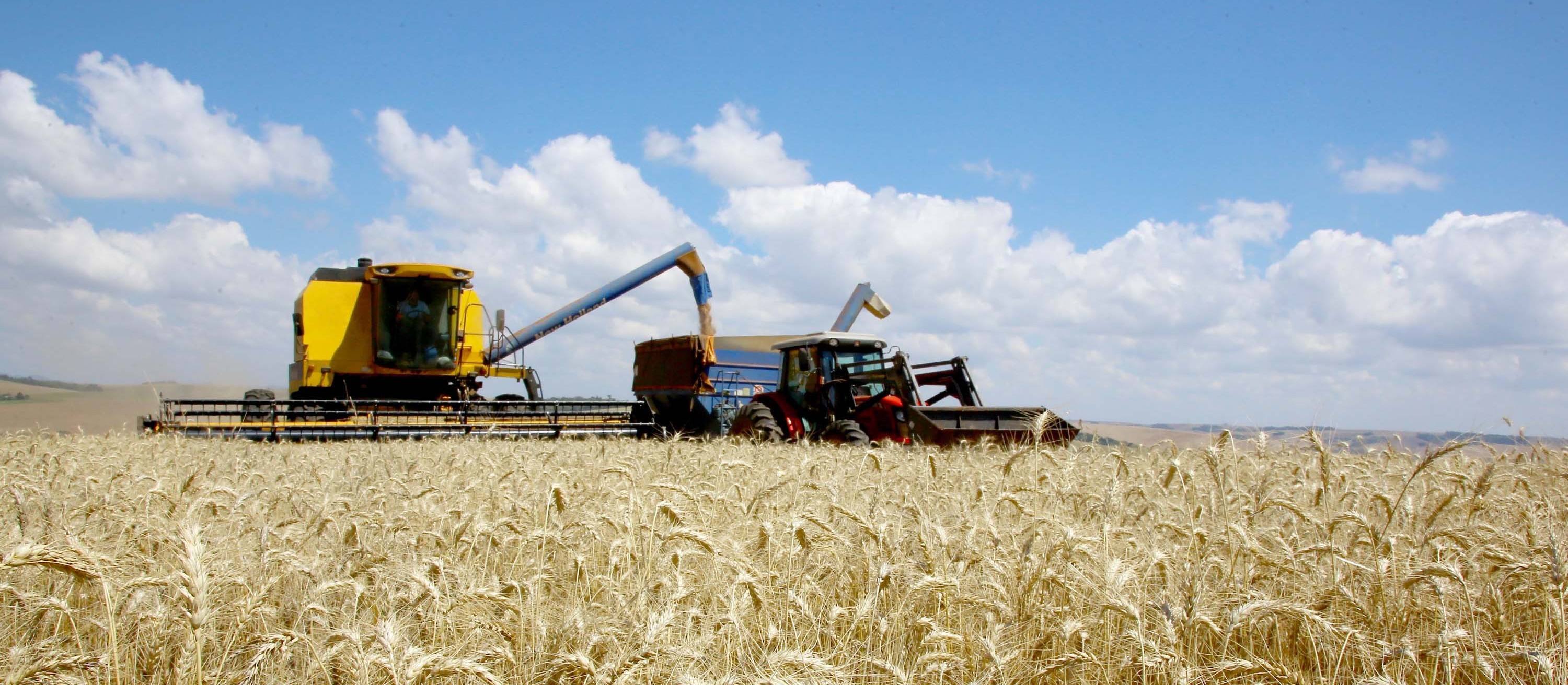 Fretes do agro estão entre os mais caros do país