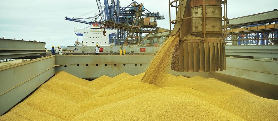 Levantamento mantém previsão de segunda maior colheita de grãos no Brasil
