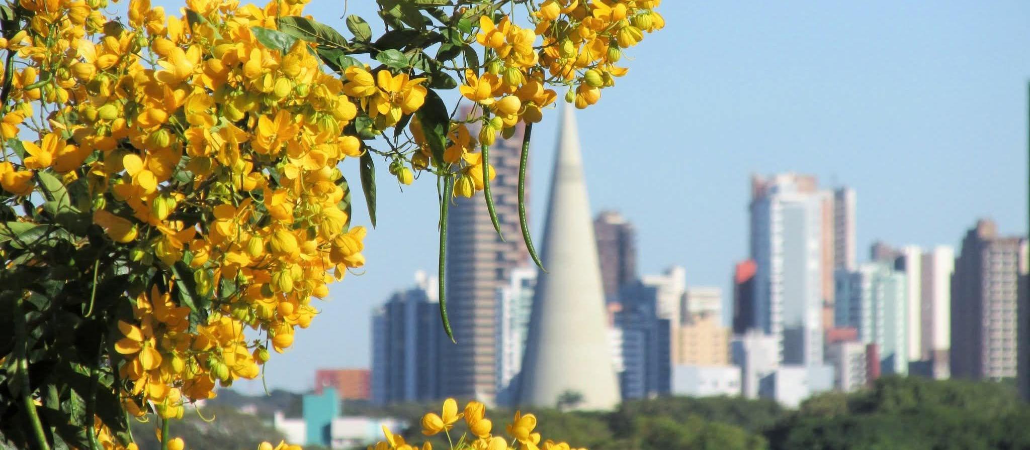 Confira a previsão do tempo em Maringá e no Paraná nesta quarta (4)