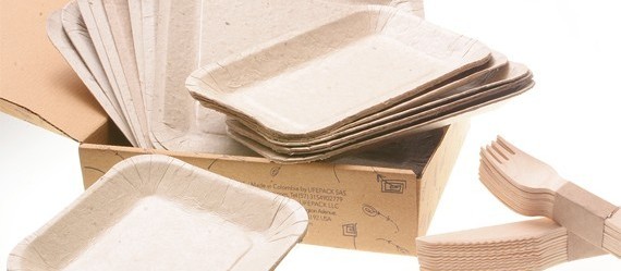 Empresa desenvolve pratos de papel que podem ser plantados após o uso