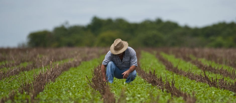 “Engenharia agronômica é uma profissão do futuro”