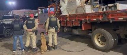 Denarc e BPRv apreendem quase 600 quilos de maconha