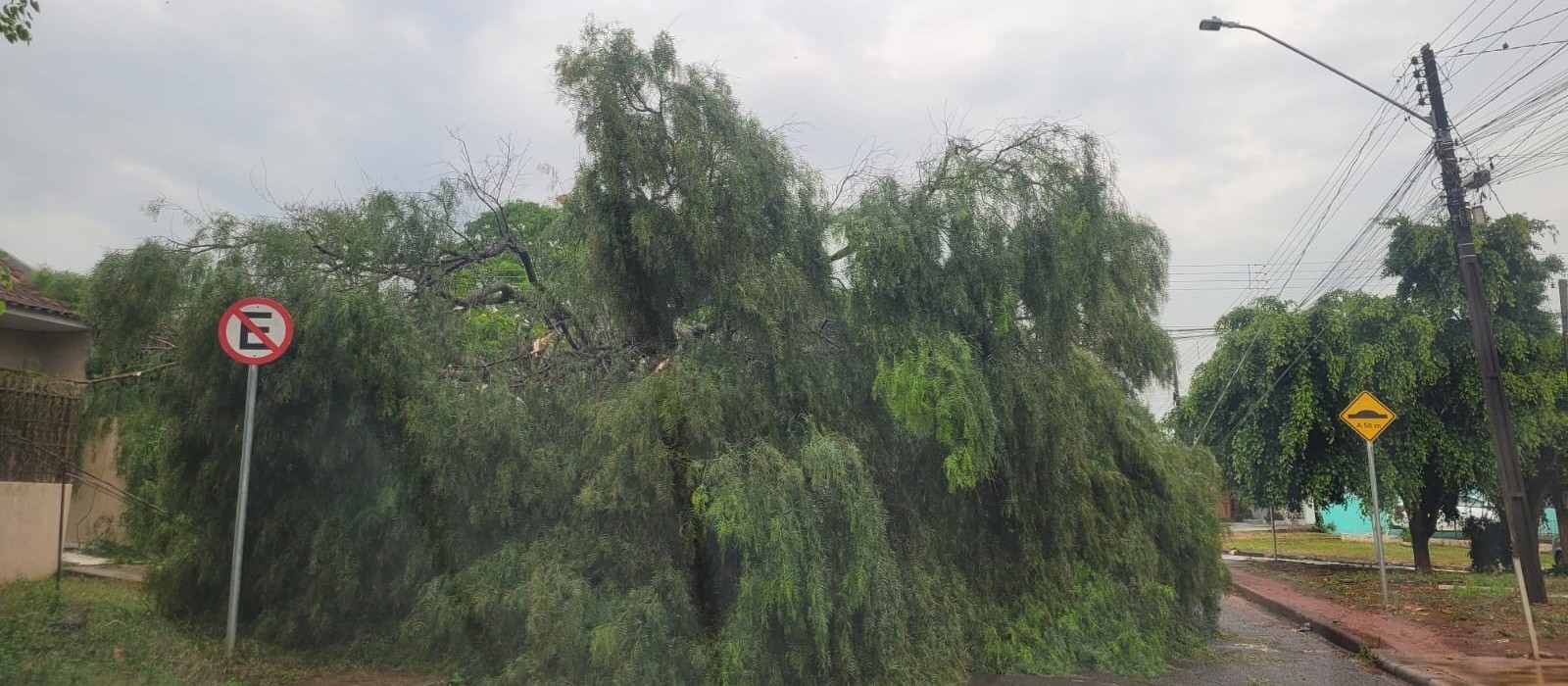 Estragos em Cascavel foram causados por tornado de categoria F2, segundo Simepar