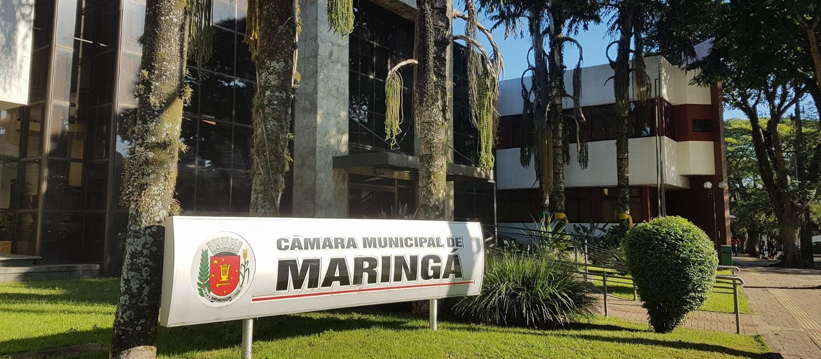 Projeto prevê benefício funerário para famílias de doadores de órgãos