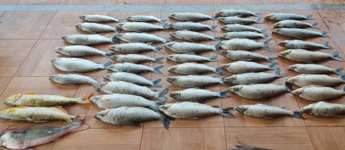Homem é preso por pesca ilegal de mais de 160 quilos de peixe