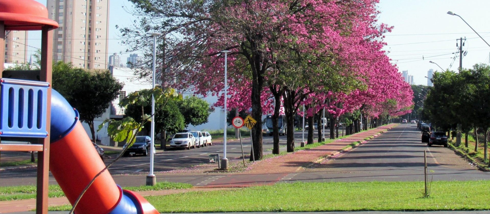 Semana começa com tempo estável e altas temperaturas em Maringá