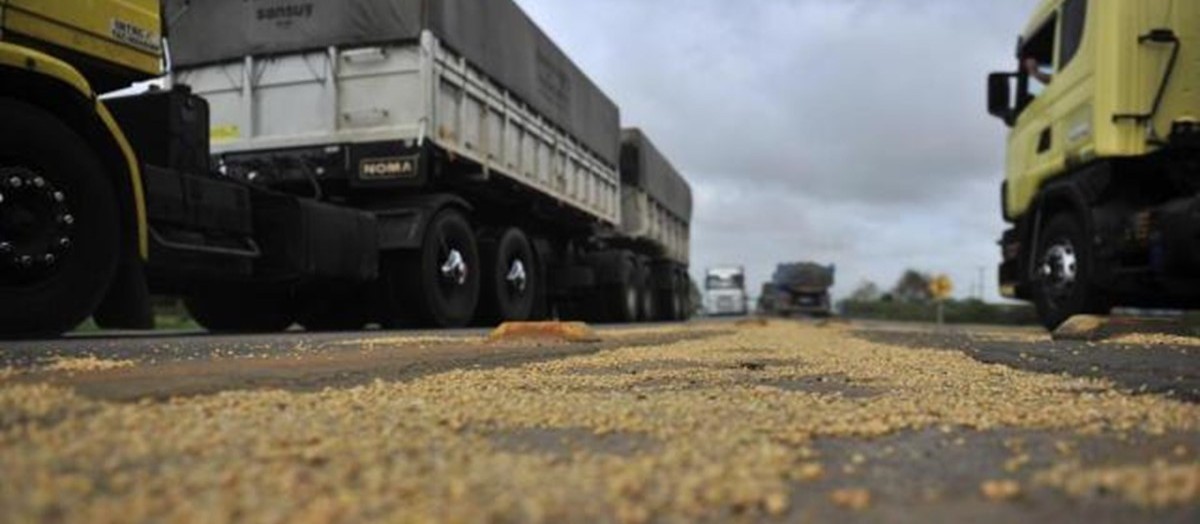 Das rodovias até os portos, Brasil perde 0,17% do trigo