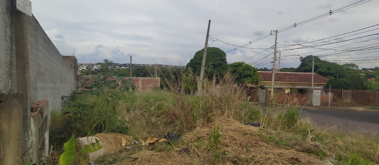 Ouvinte reclama de mato alto em terreno da Prefeitura de Maringá