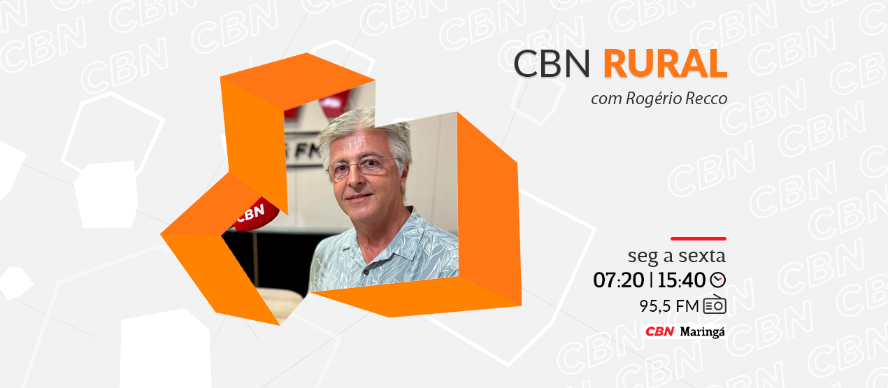 Amazonas deve colher melhor safra de guaraná em anos