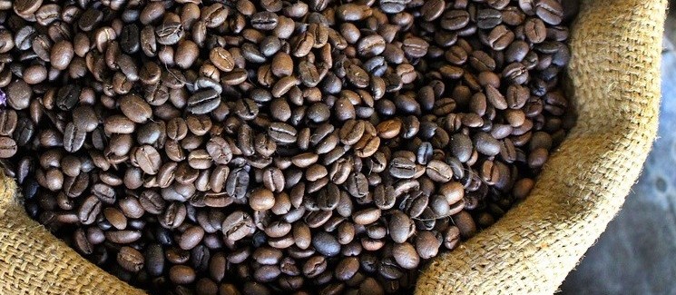 Café em coco custa R$ 6,25 kg 