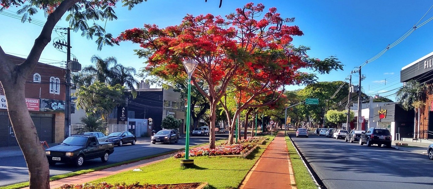 Temperatura segue alta em Maringá nesta quinta-feira (14)