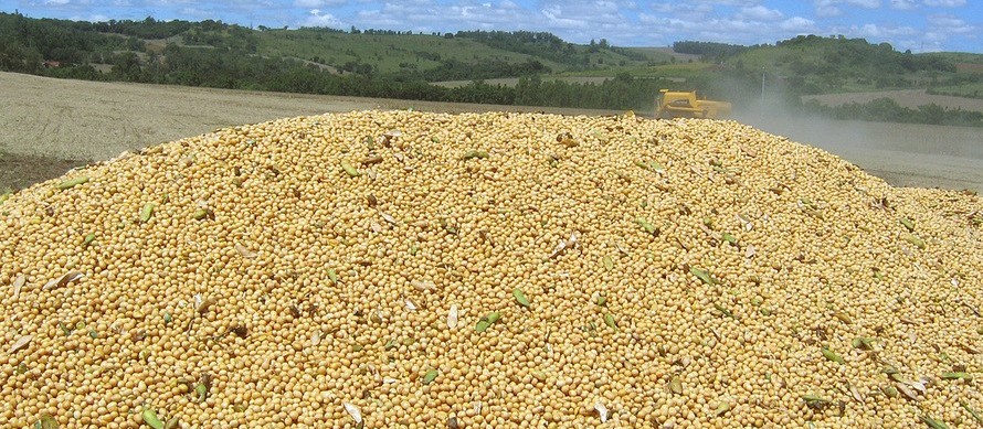 Agronegócio é responsável por 77% das exportações do Paraná