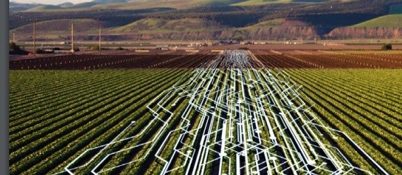 Agricultura 4.0: o agregamento de tecnologias no meio produtivo