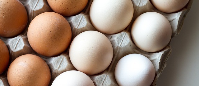 Queda no preço do ovo chega 30%